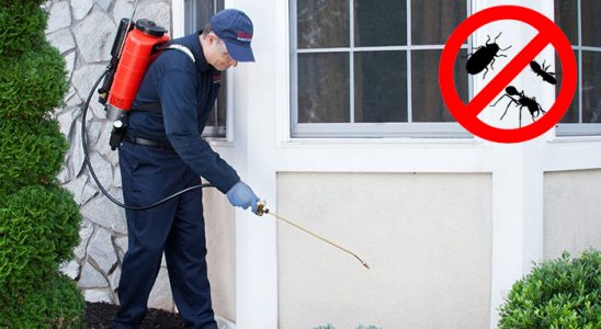 Gölbaşı Uçan Haşere İlaçlama böcek ilaçlama ve haşere kontrolü — ilaclama-tr.com